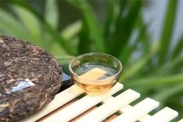 喝普洱茶容易饿，是因为茶“刮油”吗？