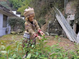 咱们的幸福年｜外婆坑村少数民族媳妇欢喜过新年