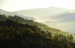 勐海那些普洱茶山