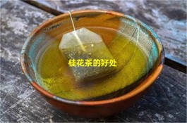 桂花茶的好处有哪些 桂花茶的好处介绍