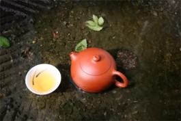 茶，是救命药