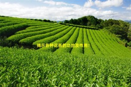 花茶有什么功效及作用 揭示各种花茶的功效及作用