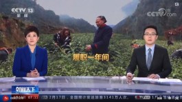 深山苗寨变成“金窝窝”“茶旅融合”助力村民就业增收