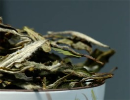 白茶的“灵魂”，独特的萎凋工艺！