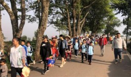 五一假期普洱接待游客57.11万人次 “茶旅融合”成热点