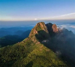 潮州打造凤凰文祠茶旅走廊