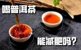 每天喝普洱茶真的可以减肥吗？