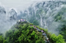 茶旅融合，富了村民，美了吉首