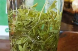 藤茶和莓茶是同种茶吗 藤茶和莓茶的区别