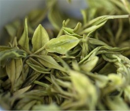 茅山白茶属于什么茶（茅山白茶是一款高档绿茶类产品）