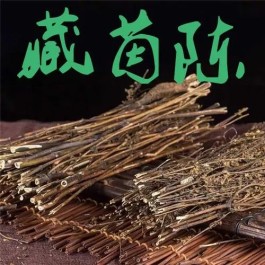 藏茵陈如何泡水喝 藏茵陈泡水喝有什么功效