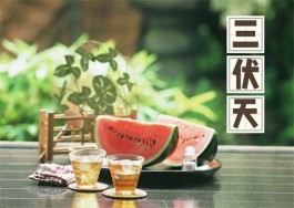 三伏天的茶之约：正确的喝茶指南！