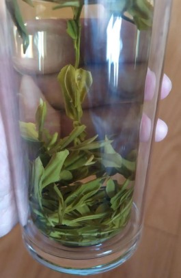 一茶一世界