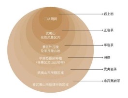 洲茶、半岩与正岩的分类