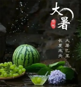 大暑茶韵：于炎炎夏日中的清凉邂逅