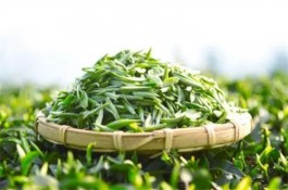 绿茶和岩茶的区别 绿茶和岩茶一起泡可以喝吗