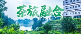 桐柏县：探索“茶旅融合”新模式 实现产业富民新业态